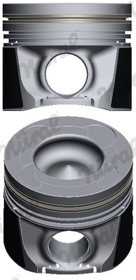 NÜRAL 87-436107-30 — Piston motor