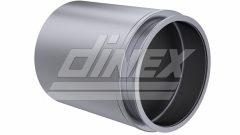 DINEX 5AI001 — Catalizator