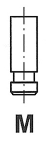 FRECCIA R4923/SNT — Supapă de admisie