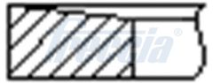 FRECCIA FR10-216100 — Set segmenți piston