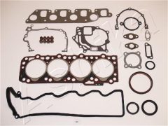 ASHIKA 4901183 — Set complet garnituri motor