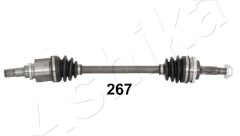 ASHIKA 6202267 — Planetară