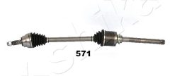 ASHIKA 6205571 — Planetară