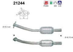 AS 21244 — Catalizator