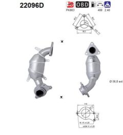 AS 22096D — Catalizator