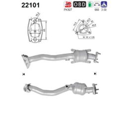 AS 22101 — Catalizator