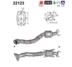 AS 22123 — Catalizator