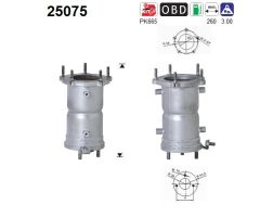 AS 25075 — Catalizator