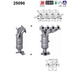 AS 25098 — Катализатор