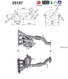 AS 25157 — Catalizator