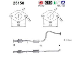 AS 25158 — Catalizator