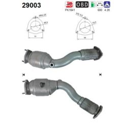 AS 29003 — Catalizator