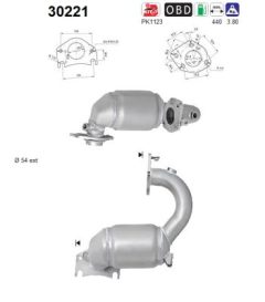AS 30221 — Катализатор