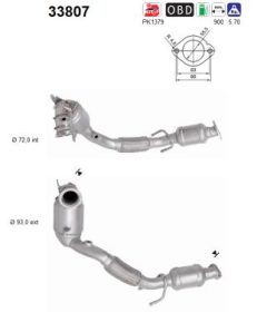 AS 33807 — Catalizator