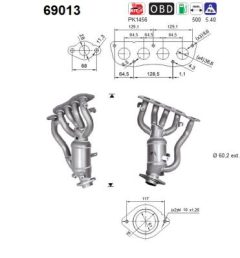 AS 69013 — Catalizator