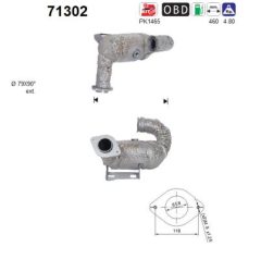 AS 71302 — Catalizator