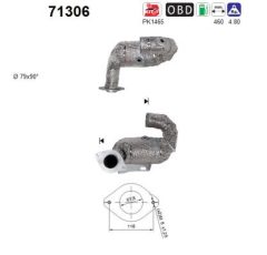 AS 71306 — Catalizator