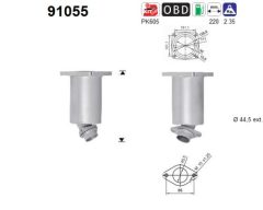 AS 91055 — Catalizator