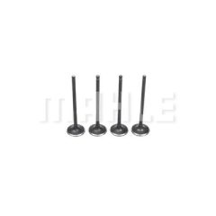 MAHLE VE0590256 — Выпускной клапан