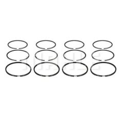 MAHLE A0030240 — Set segmenți piston