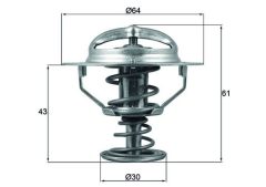 MAHLE TX17878D — Termostat lichid răcire