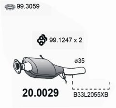 ASSO 20.0029 — Catalizator