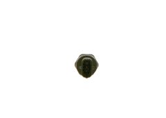 BOSCH 0281006199 — Senzor presiune combustibil