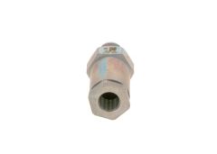 BOSCH 1110010020 — Supapă limitare presiune rampă Common Rail