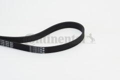 CONTINENTAL CTAM 6PK1642 — Curea transmisie cu caneluri