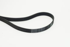 CONTINENTAL CTAM 6PK1670 — Curea transmisie cu caneluri