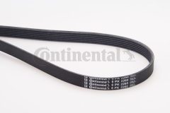 CONTINENTAL CTAM 6PK2260 — Curea transmisie cu caneluri