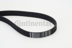 CONTINENTAL CTAM 7PK1687 — Curea transmisie cu caneluri