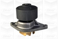 GRAF PA1060 — Помпа