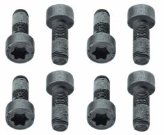 SACHS 1874 000 010 — Комплект болтов маховика