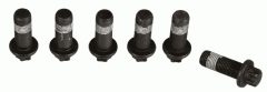 SACHS 1874 000 067 — Комплект болтов маховика