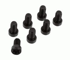 SACHS 1874 000 079 — Комплект болтов маховика