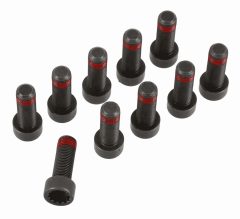 SACHS 1874 000 095 — Set șuruburi volantă