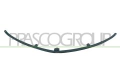 PRASCO DG4103202 — Fațadă frontală