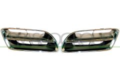 PRASCO DS0072010 — Grilă radiator