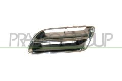 PRASCO DS1752104 — Grilă radiator