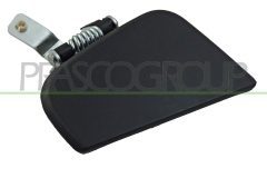 PRASCO DS2718101 — Ручка двери наружная
