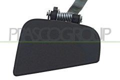 PRASCO DS2718102 — Ручка двери наружная