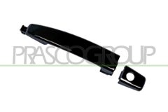 PRASCO DW7208002 — Ручка двери наружная