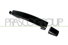 PRASCO DW7208011 — Ручка двери наружная