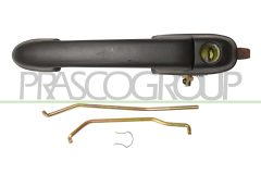 PRASCO FT1378001 — Ручка двери наружная