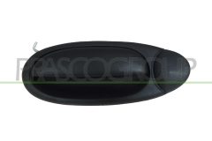 PRASCO FT7158002 — Ручка двери наружная