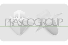PRASCO FT880CL01 — Clemă fixare bandou