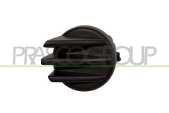 PRASCO FT9221250 — Ornament proiector ceață