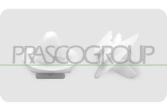 PRASCO FT930CL02 — Clemă fixare bandou