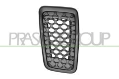 PRASCO JE2022011 — Grilă radiator
